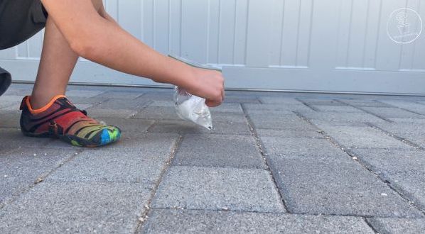 A child is setting the bag on the concrete outside, after releasing the baking soda packet and shaking the bag for a moment.