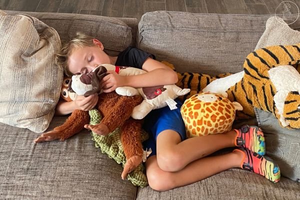 A child snuggling with various stuffies, on the couch